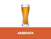 Birra artigianale ambrata