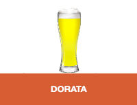 Birra artigianale dorata