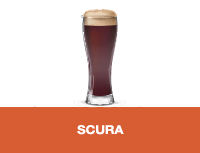 Birra artigianale scura
